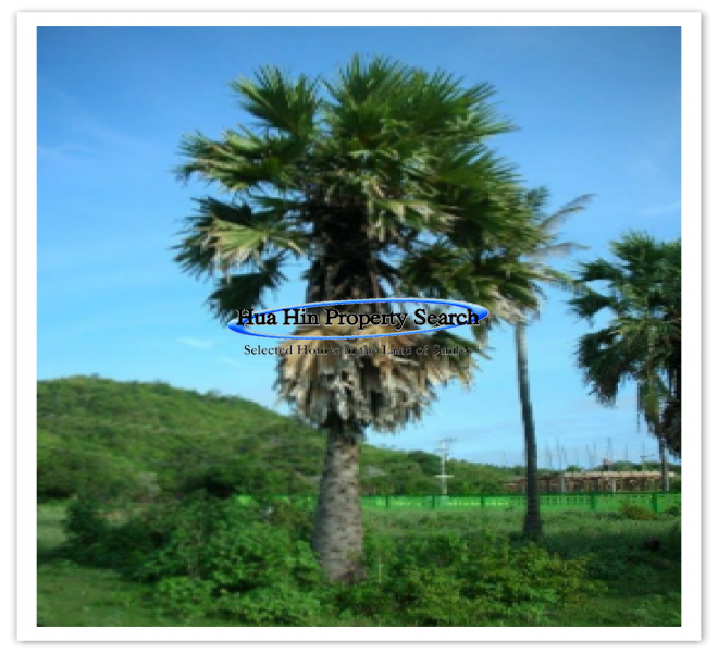 Land in Hua Hin and Thailand for sale, Hua Hin Property Search