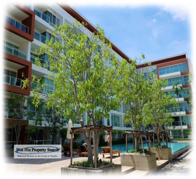 Condo and Apartments for rent in Hua Hin and Thailand please contact us for more information