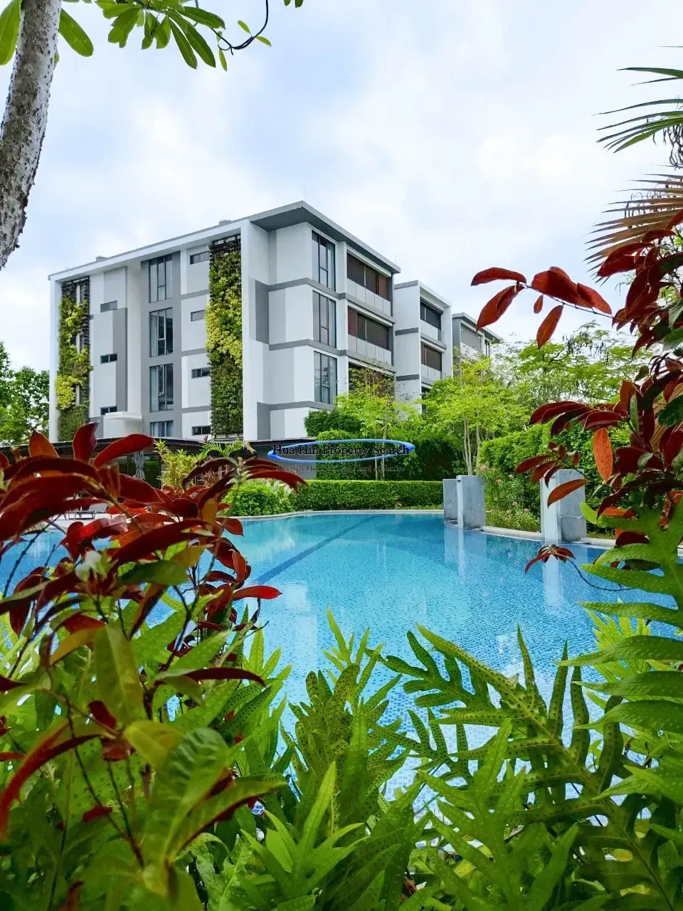 Condo and Apartments for rent in Hua Hin and Thailand please contact us for more information